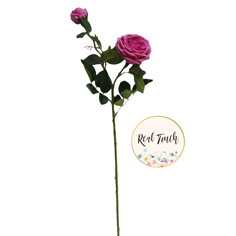 Primrue Real Touch Cabbage Rose Rose Arrangement Wayfair